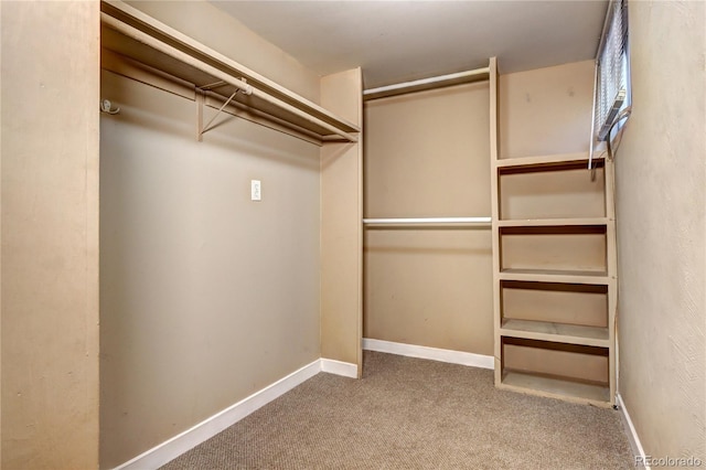 2921 E Colorado Ave, Denver, CO 80210 - spacious closet with carpet