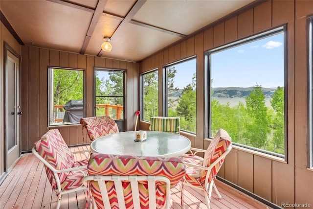 2028 Redhill Rd, Fairplay, CO 80440 - sunroom / solarium with hardwood / wood-style flooring, wooden walls, and a mountain view
