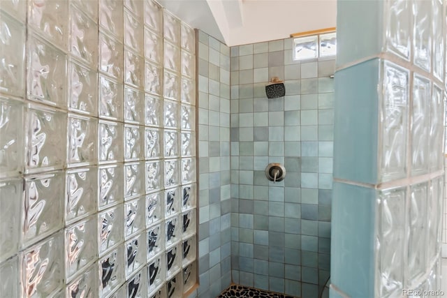 2028 Redhill Rd, Fairplay, CO 80440 - full bath featuring tiled shower