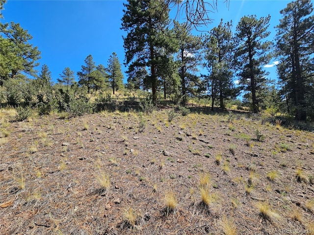 358 Escondida Dr, South Fork, CO 81154