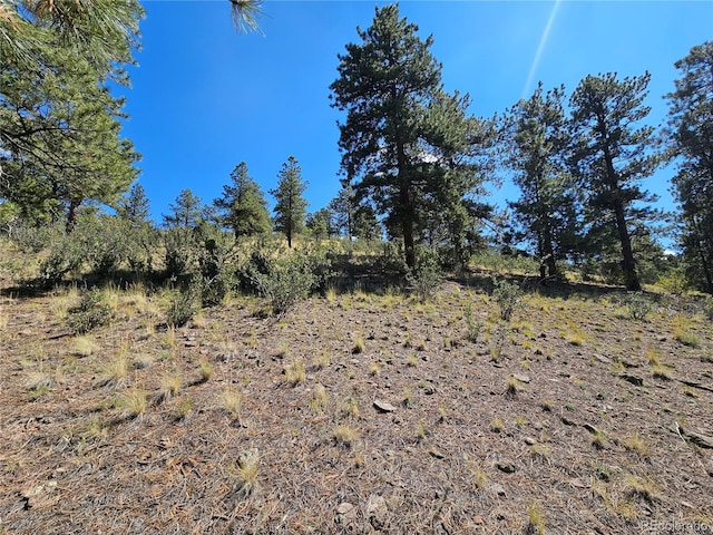358 Escondida Dr, South Fork, CO 81154