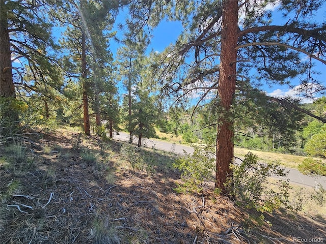 358 Escondida Dr, South Fork, CO 81154