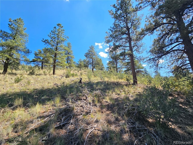358 Escondida Dr, South Fork, CO 81154