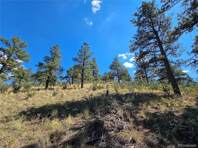 358 Escondida Dr, South Fork, CO 81154
