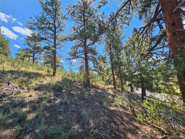 358 Escondida Dr, South Fork, CO 81154
