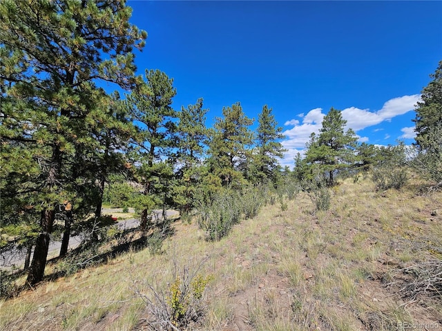 358 Escondida Dr, South Fork, CO 81154