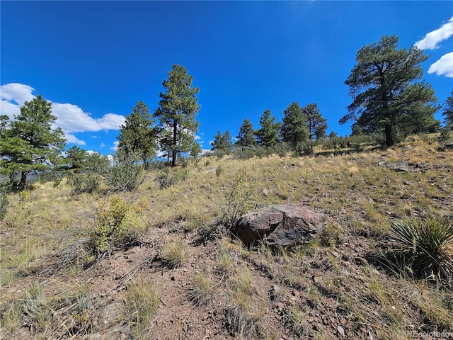 358 Escondida Dr, South Fork, CO 81154