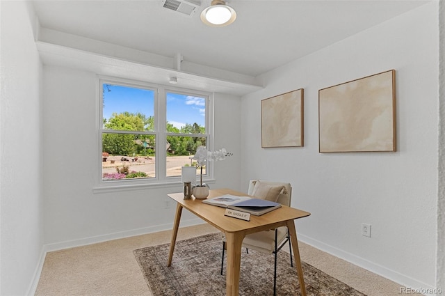 4269 Carter Trl, Boulder, CO 80301 - office space featuring carpet floors and baseboards