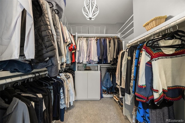 3410 Pecos St, Denver, CO 80211 - walk in closet featuring carpet