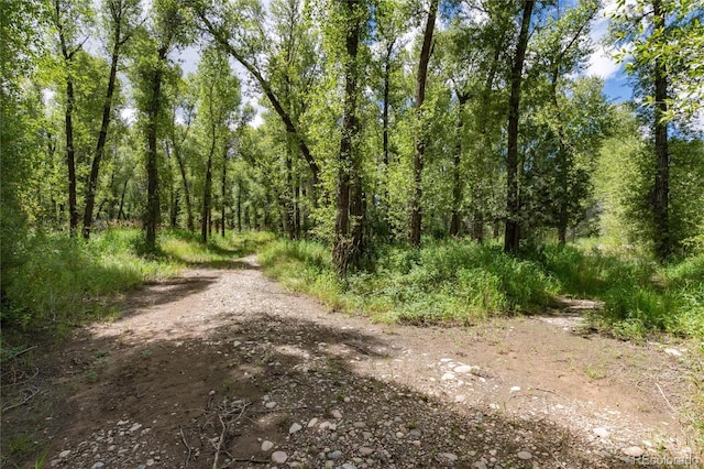 125 Main St, Parshall, CO 80468