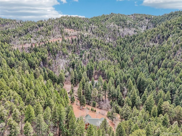 13314 Spruce Creek Cir, Larkspur, CO 80118 - photo 46