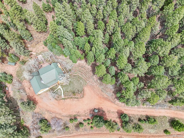 13314 Spruce Creek Cir, Larkspur, CO 80118 - photo 47