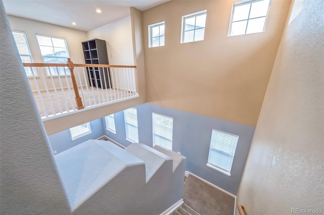 stairs featuring carpet flooring