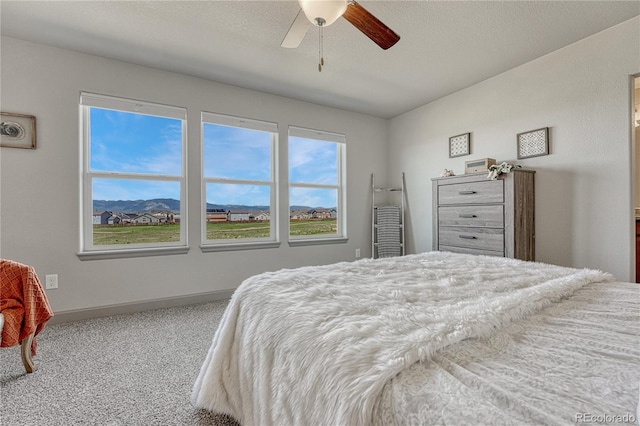 6180 Wacissa Dr, Colorado Springs, CO 80925 - photo 20