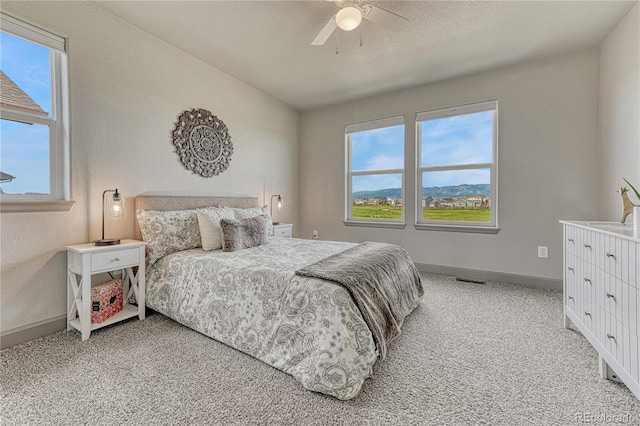 6180 Wacissa Dr, Colorado Springs, CO 80925 - photo 29