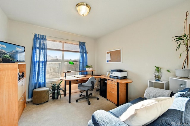 view of carpeted office space