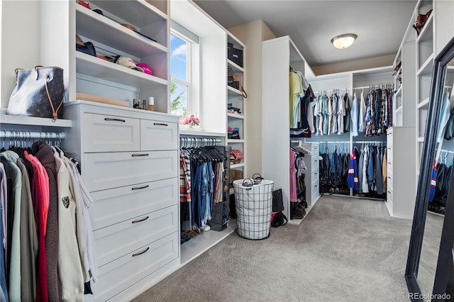 26889 E Irish Pl, Aurora, CO 80016 - photo 26