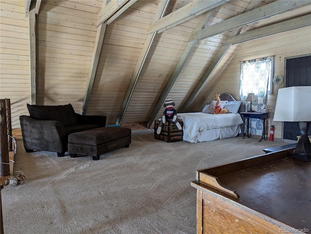 53485 County Road Ll56, Villa Grove, CO 81155 - photo 20
