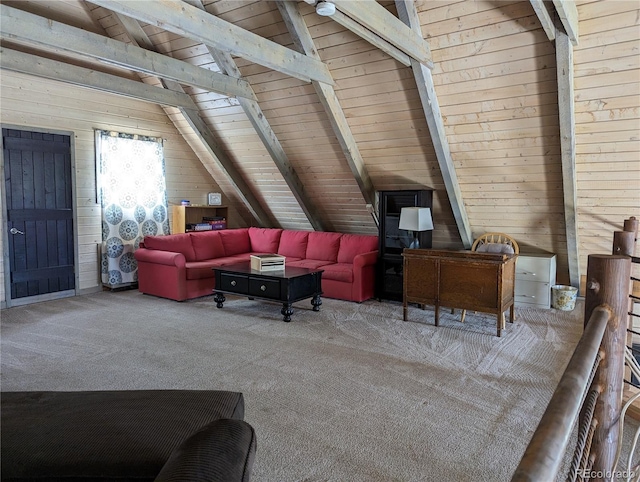53485 County Road Ll56, Villa Grove, CO 81155 - photo 21