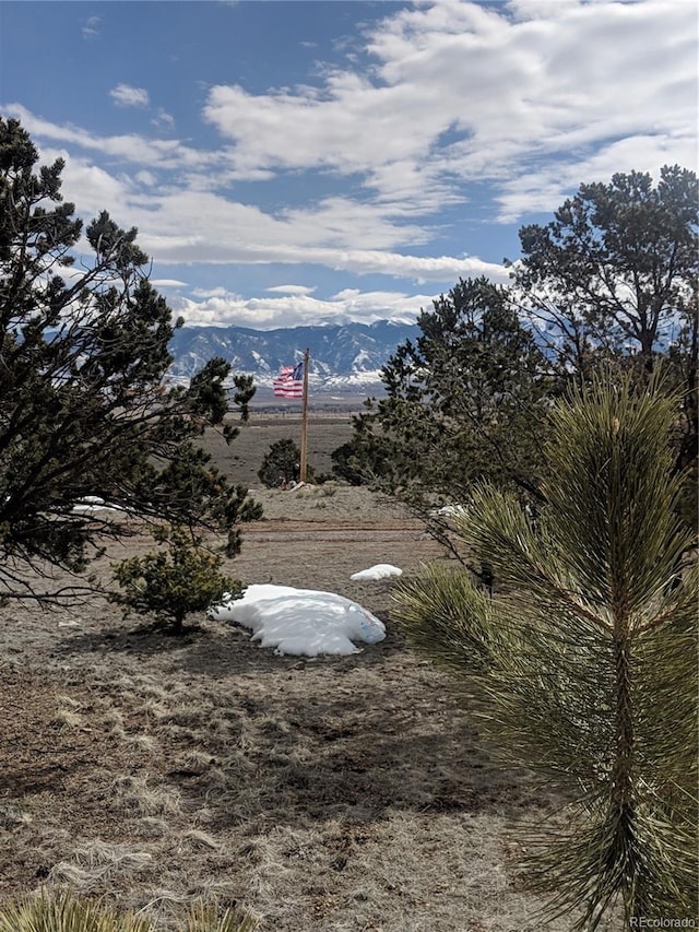 53485 County Road Ll56, Villa Grove, CO 81155 - photo 26
