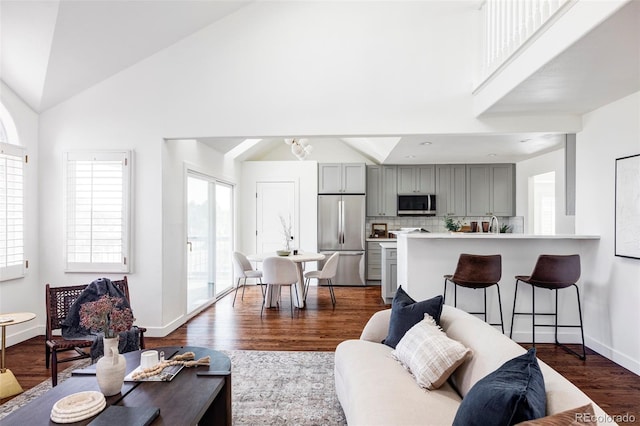 living room featuring dark hardwood / wood-style flooring and lofted ceiling