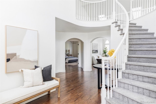 foyer featuring a towering ceiling and dark wood-type flooring