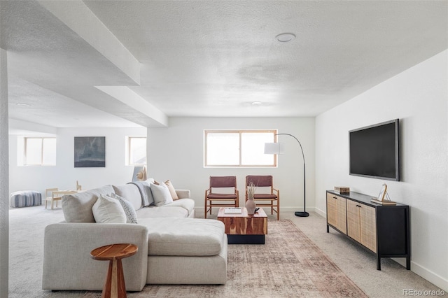 carpeted living room with a textured ceiling and a wealth of natural light