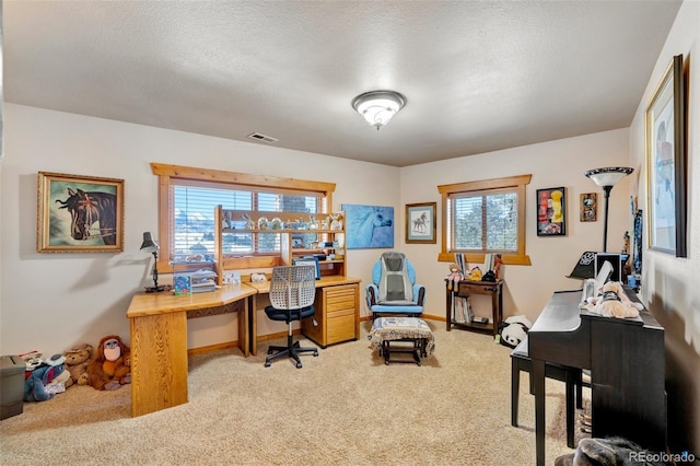 office space featuring a textured ceiling, light carpet, and a wealth of natural light