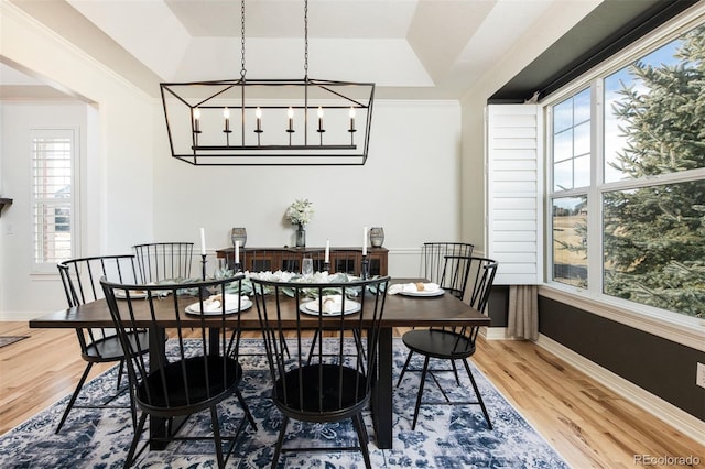 dining space with a tray ceiling, baseboards, and wood finished floors