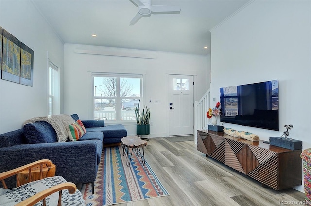 living room featuring ceiling fan, ornamental molding, and light hardwood / wood-style flooring