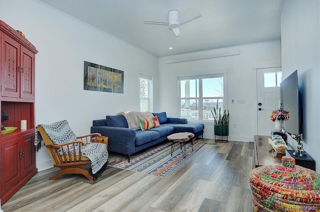 living room with ceiling fan, light hardwood / wood-style floors, and ornamental molding