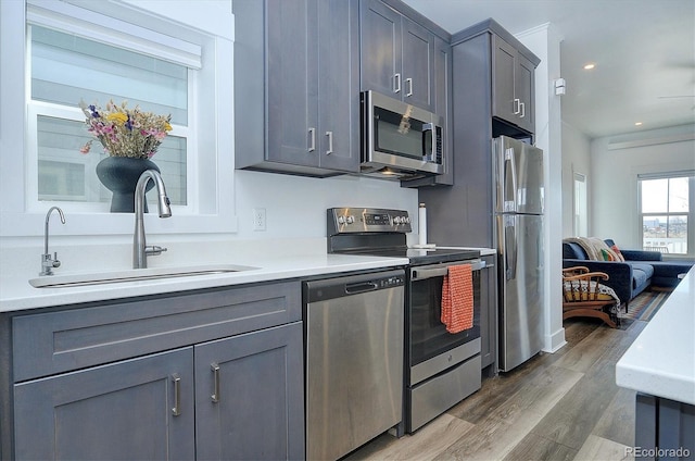 kitchen with gray cabinetry, sink, dark wood-type flooring, and appliances with stainless steel finishes