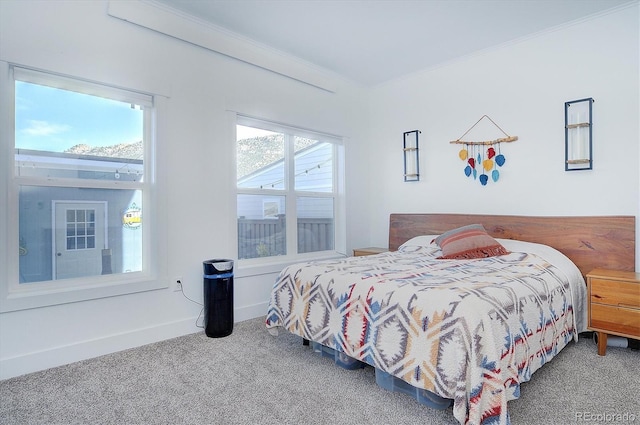 bedroom with carpet and ornamental molding