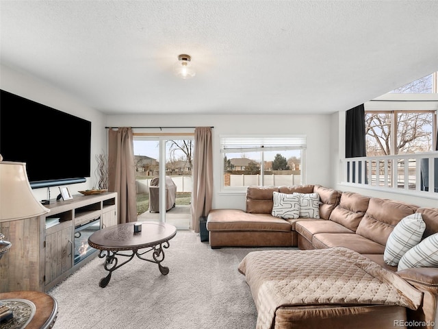 living area with a textured ceiling and carpet