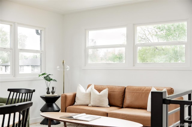 1617 S Quitman St, Denver, CO 80219 - view of living room
