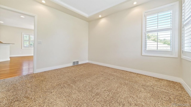 empty room featuring ornamental molding and carpet