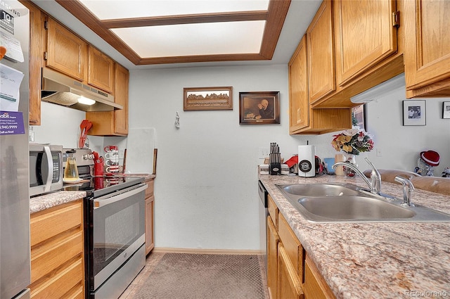 kitchen featuring sink, light carpet, and stainless steel appliances