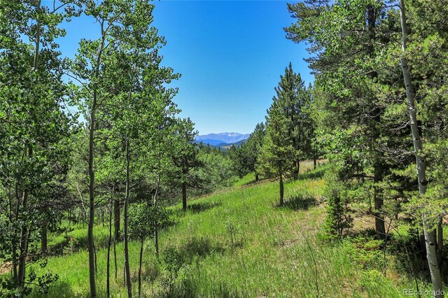 BLOCK2, LOT24 Hughesville Rd, Black Hawk, CO 80422 - photo 1