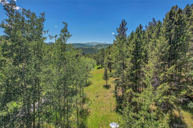 BLOCK2, LOT24 Hughesville Rd, Black Hawk, CO 80422 - photo 2