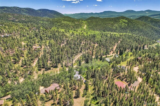 BLOCK2, LOT24 Hughesville Rd, Black Hawk, CO 80422 - photo 10