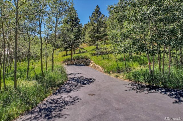 BLOCK2, LOT24 Hughesville Rd, Black Hawk, CO 80422 - photo 12