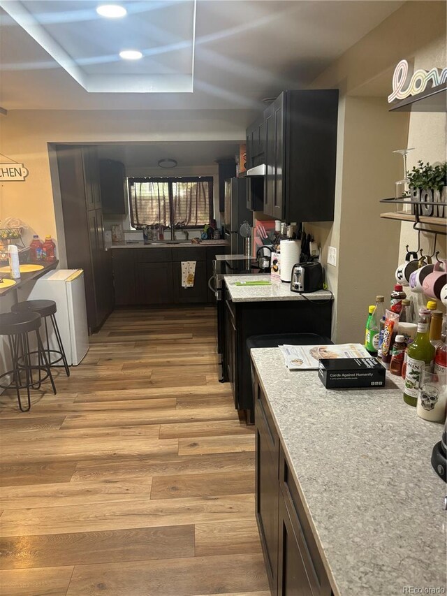 206 Lyell St, Monte Vista, CO 81144 - kitchen with light wood-style flooring, light countertops, freestanding refrigerator, and dark cabinetry