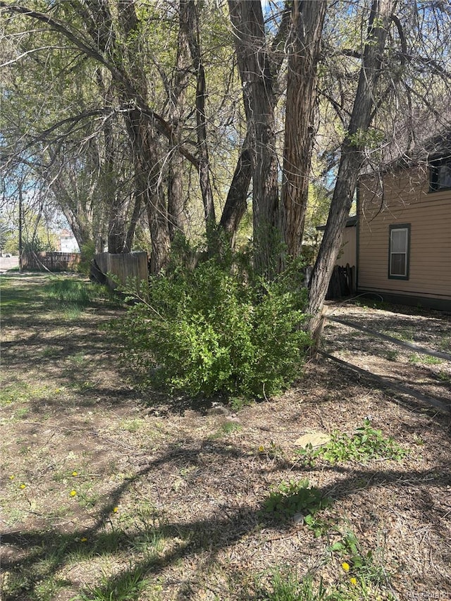 206 Lyell St, Monte Vista, CO 81144 - view of yard