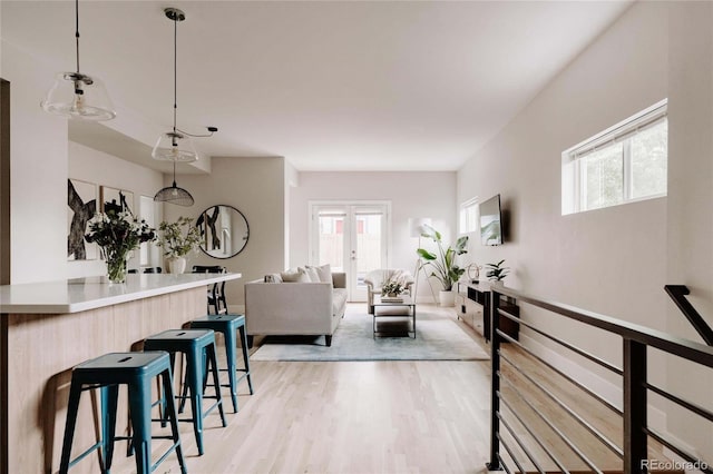 living room featuring light wood-type flooring, a healthy amount of sunlight, and french doors