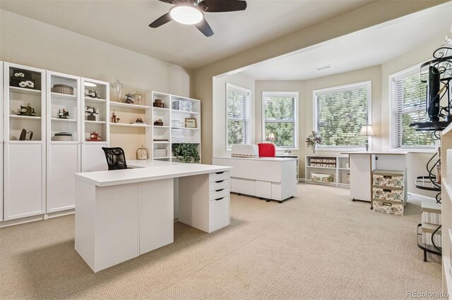 6279 Oxford Peak Pl, Castle Rock, CO 80108 - photo 19