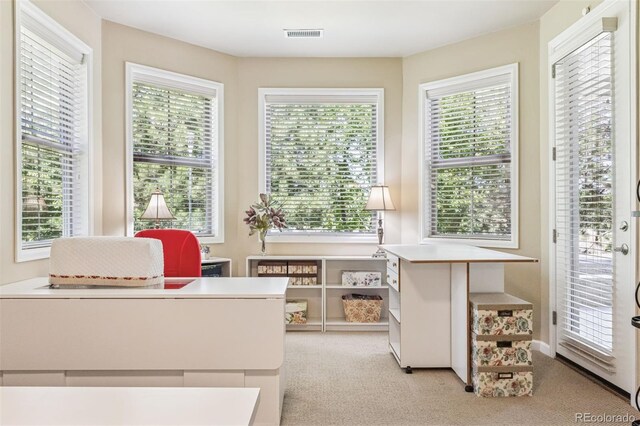 6279 Oxford Peak Pl, Castle Rock, CO 80108 - photo 20