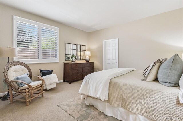 6279 Oxford Peak Pl, Castle Rock, CO 80108 - photo 21