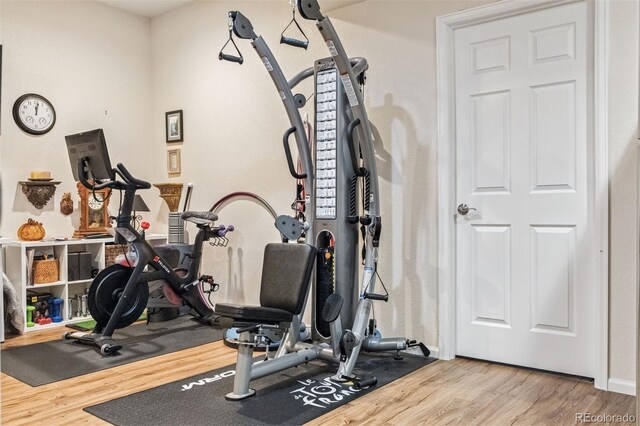 6279 Oxford Peak Pl, Castle Rock, CO 80108 - photo 23