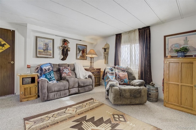 41215 Alta Vista Rd, Ramah, CO 80832 - living area with carpet flooring