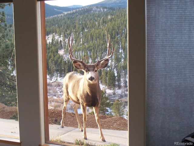 room details with a mountain view and a view of trees